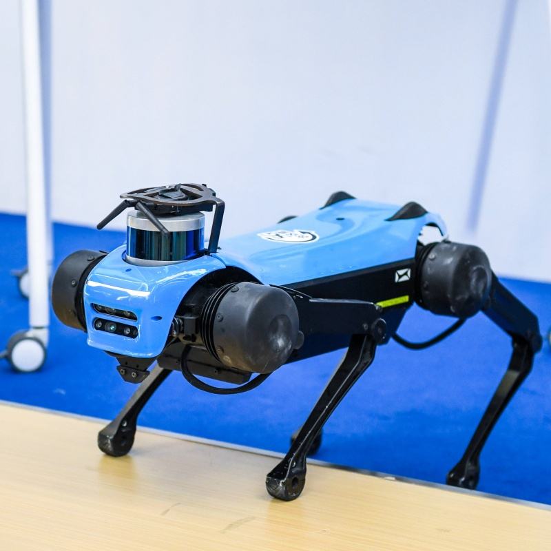 XUANHANXIN Bionic Quadruped - AI Embodied Intelligence Robot Dog