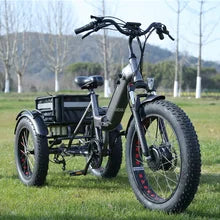 Urban Cargo AI-Ready Delivery Trike